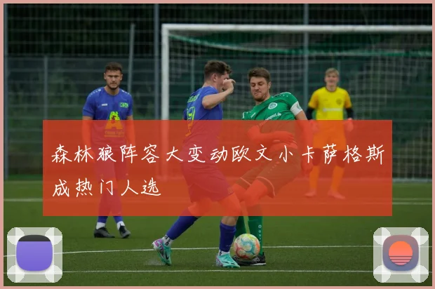森林狼阵容大变动欧文小卡萨格斯成热门人选
